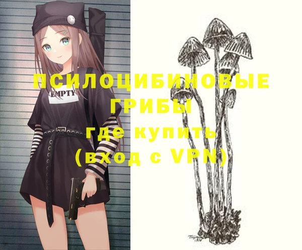 шишки Алексин