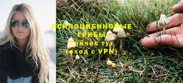 шишки Алексин