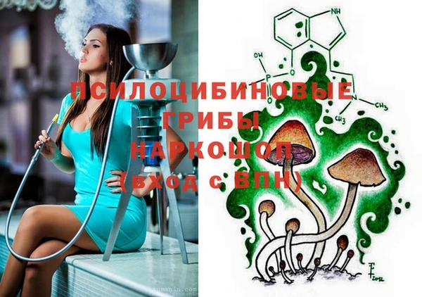 сатива Алексеевка