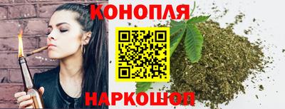 крисы Кунгур