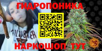 крисы Кунгур