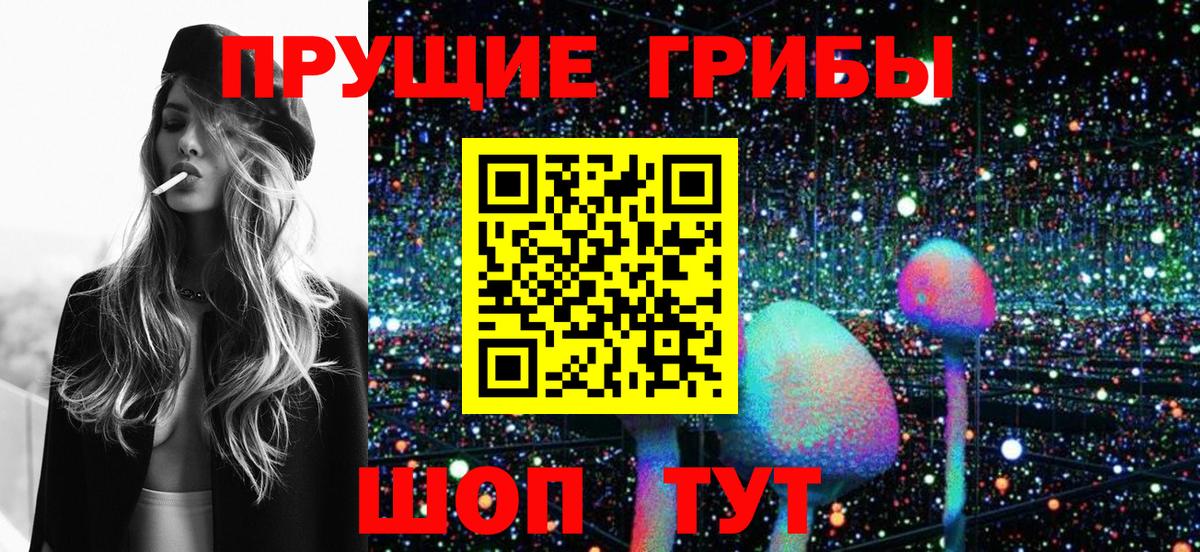 Кимры  Галлюциногенные грибы Cubensis  Вход с VPN 