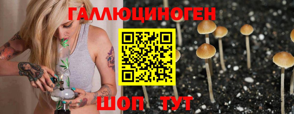 Галлюциногенные грибы GOLDEN TEACHER Кимры